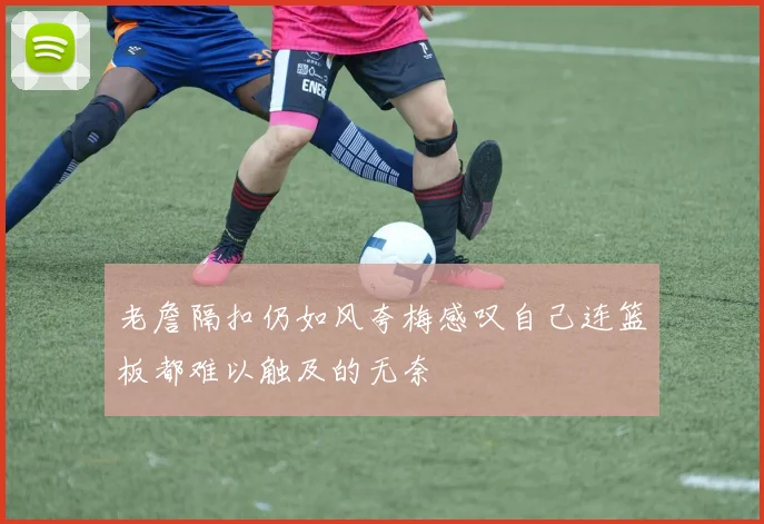 老詹隔扣仍如风夸梅感叹自己连篮板都难以触及的无奈